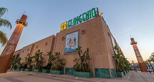 Centro Comercial El Ingenio
