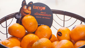 Mandarinas Tango