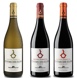 Nuevos vinos